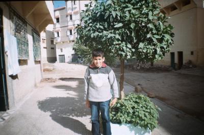 arbi